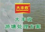 大豐收游塘處理方案